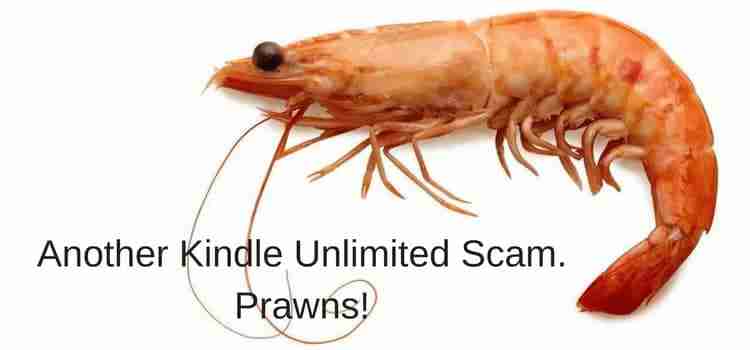 Kindle Unlimited Scam Prawns