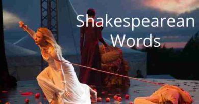 Shakespeares Words