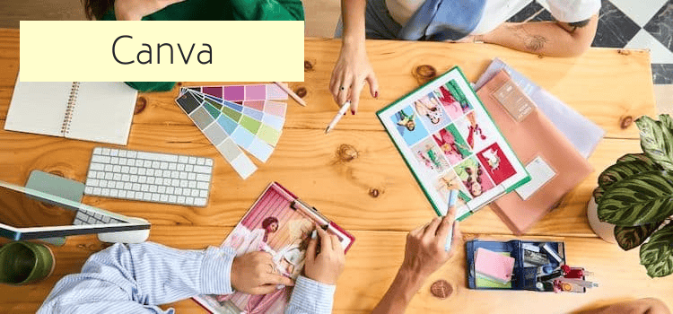 Canva Stock Photos