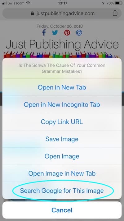 reverse image search on iphone