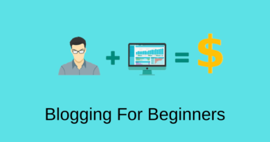 Pro Blogging For Beginners