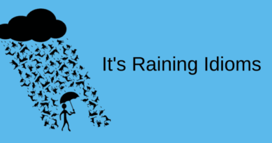 Raining idioms