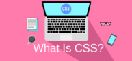CSS Tips For Beginners And How To Use It To Style Your Website