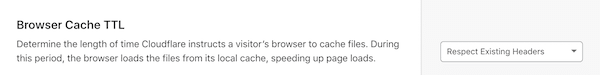 browser cache ttl