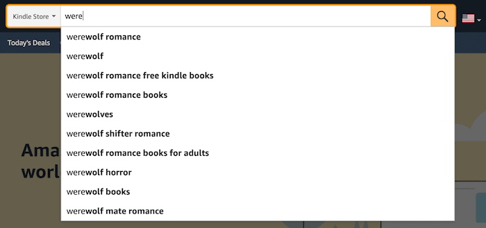 How to select Kindle keywords