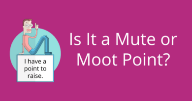 Moot Point or Mute Point