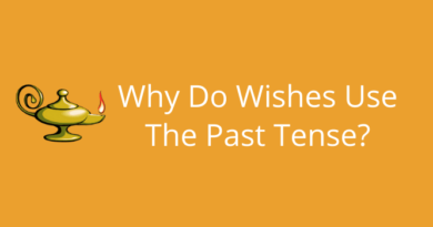 Wish In The Past Tense