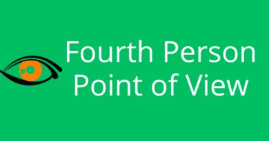 Fourth Person Point of View
