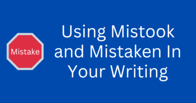 Mistook and Mistaken In Writing