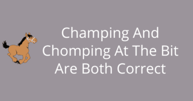 Champing And Chomping At The Bit