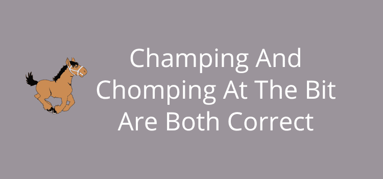 Champing And Chomping At The Bit