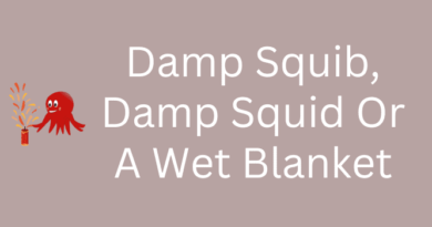 Damp Squib And Damp Squid