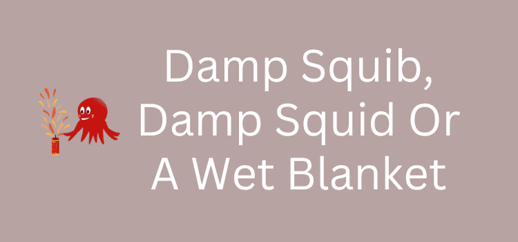 Damp Squib And Damp Squid