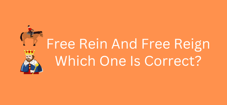 Free Rein or Free Reign