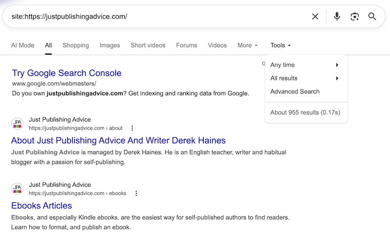 site search result on Google site search result on Google